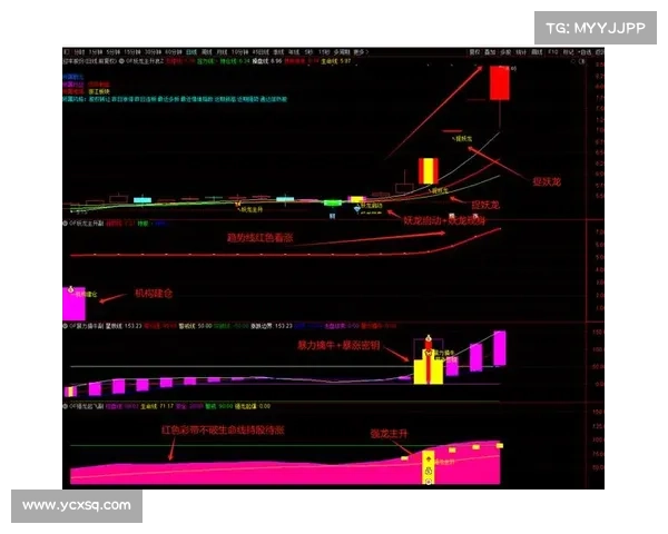 《天之劫新手快速上手指南技巧与注意事项详解》