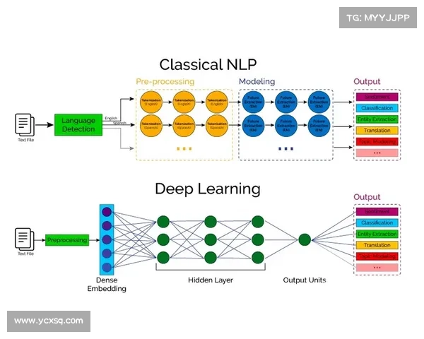 从语言结构到文化认同浅析巴舒亚伊语种解析的五个关键要点