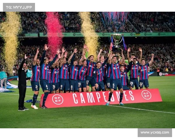 欧冠与法甲英超意甲的差异解析及其背后原因揭秘