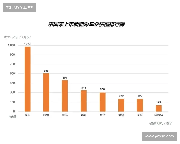 如何评估卢库米品牌的市场价值与消费者认可度分析